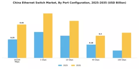 China Ethernet Switch Market Segment Image 3