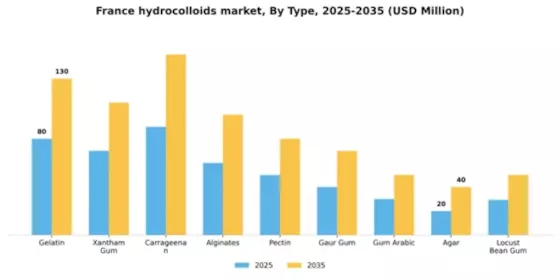 France Hydrocolloids Market Segment Image 2