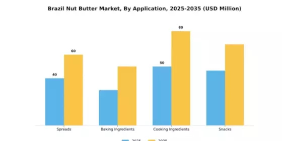 Brazil Nut Butter Market Segment Image 0