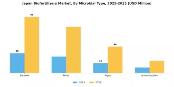Japan Biofertilizers Market Segment Image 3