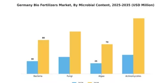 Germany Bio Fertilizers Market Segment Image 3