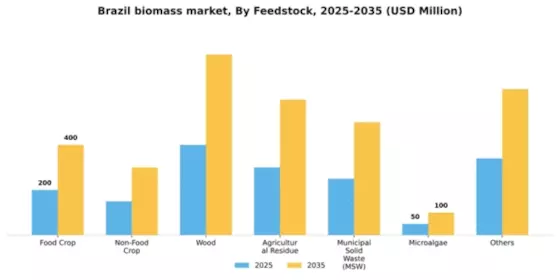 Brazil Biomass Market Segment Image 1