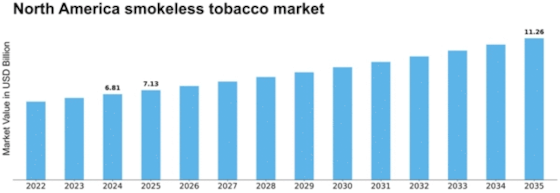 North America Smokeless Tobacco Market Size