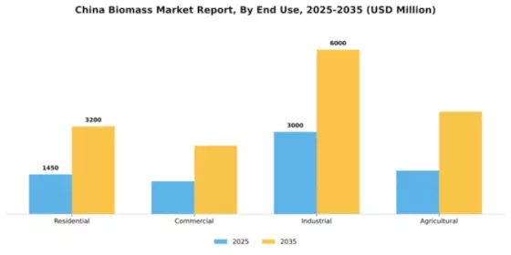 China Biomass Market Segment Image 1