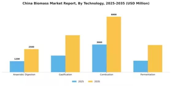 China Biomass Market Segment Image 3