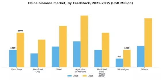China Biomass Market Segment Image 1