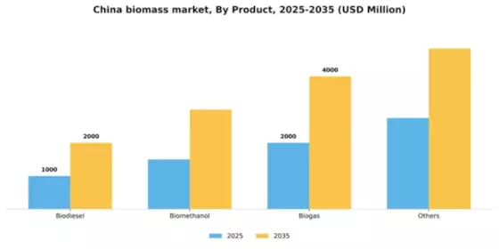 China Biomass Market Segment Image 2