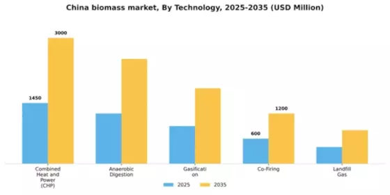 China Biomass Market Segment Image 3