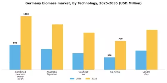 Germany Biomass Market Segment Image 3