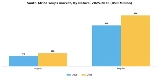 South Africa Soups Market Segment Image 2