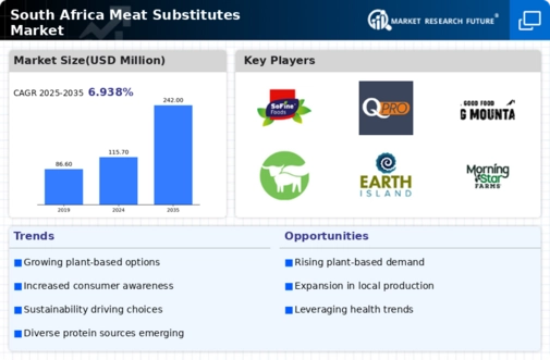 South Africa Meat Substitutes Market Research Report- Forecast to 2035 Infographic
