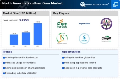 North America Xanthan Gum Market Infographic