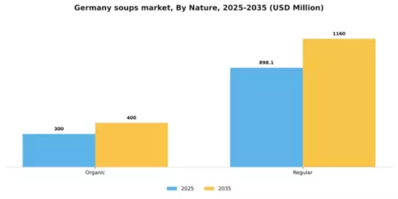 Germany Soups Market Segment Image 2
