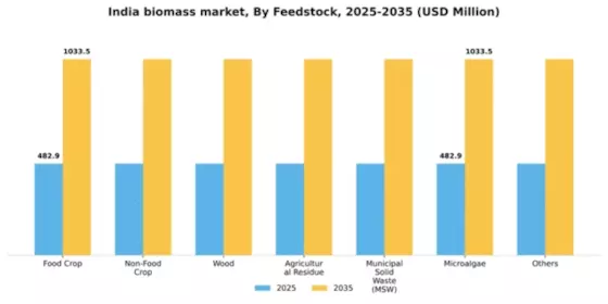 India Biomass Market Segment Image 1