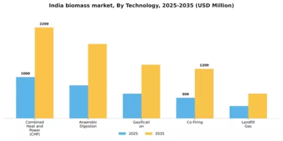 India Biomass Market Segment Image 3