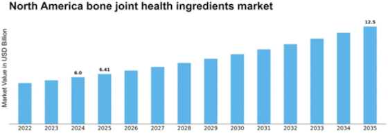 North America Bone Joint Health Ingredients Market Size