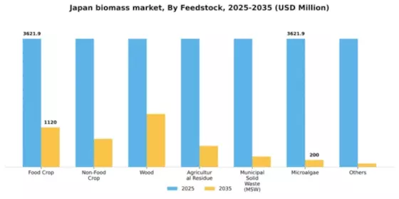 Japan Biomass Market Segment Image 1