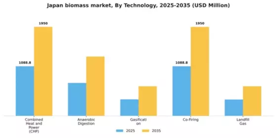 Japan Biomass Market Segment Image 3