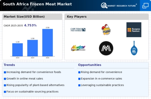 South Africa Frozen Meat Market Research Report — Forecast till 2035 Infographic