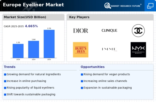 Europe Eyeliner Market Infographic