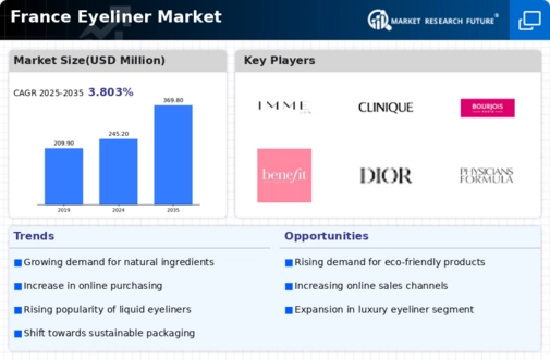 France Eyeliner Market Infographic
