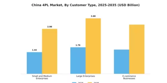 China 4PL Market Segment Image 0