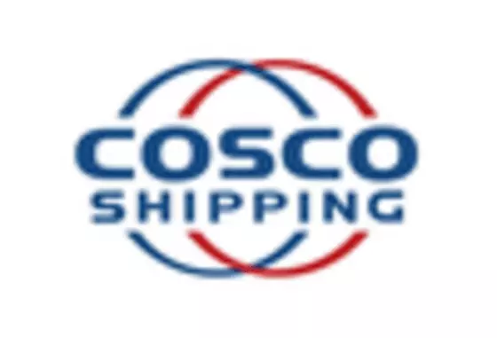 China 4PL Market key player