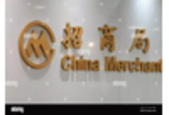 China 4PL Market key player