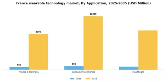 France Wearable Technology Market Segment Image 0