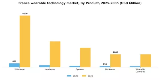 France Wearable Technology Market Segment Image 2