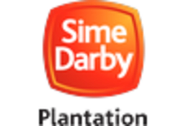 Brazil Palm Oil Market key player