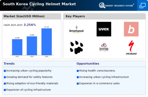 South Korea Cycling Helmet Market Research Report-Forecast to 2035 Infographic