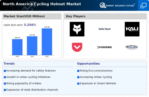 North America Cycling Helmet Market Infographic