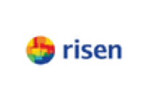 China Energy Storage Market key player