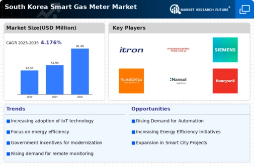 South Korea Smart Gas Meter Market Research Report - Forecast to 2035 Infographic