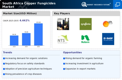 South Africa Copper Fungicides Market Infographic