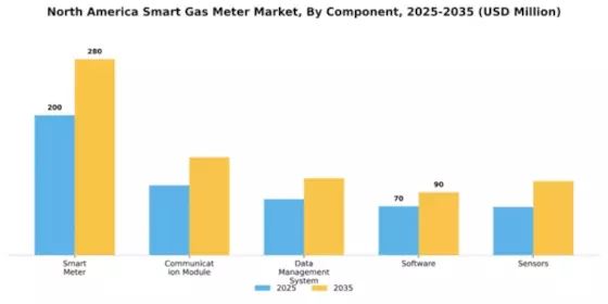 North America Smart Gas Meter Market Segment Image 1