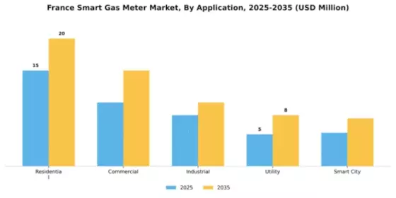 France Smart Gas Meter Market Segment Image 0