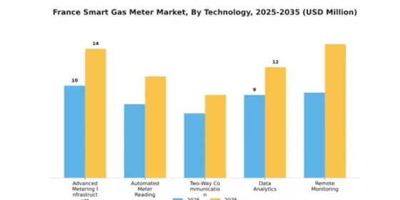 France Smart Gas Meter Market Segment Image 2