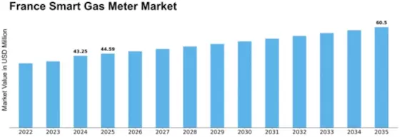 France Smart Gas Meter Market Size