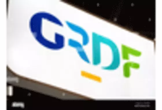 France Smart Gas Meter Market key player