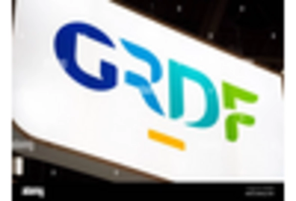 US Smart Gas Meter Market key player