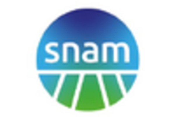 US Smart Gas Meter Market key player