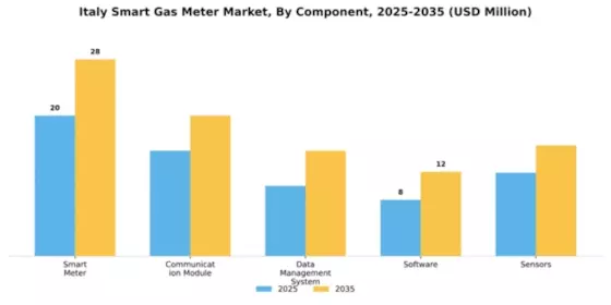 Italy Smart Gas Meter Market Segment Image 1