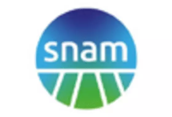 Italy Smart Gas Meter Market key player