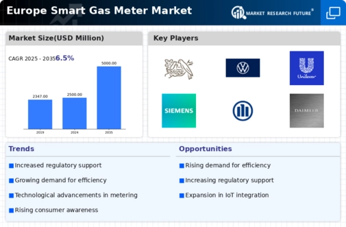 Europe Smart Gas Meter Market Infographic