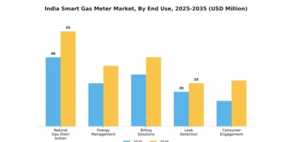 India Smart Gas Meter Market Segment Image 1