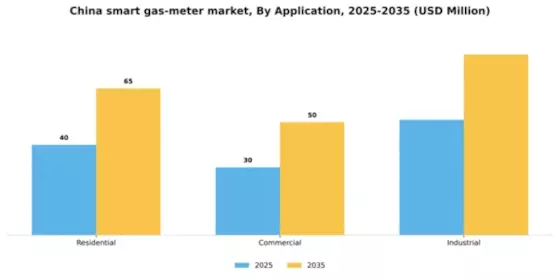 China Smart Gas Meter Market Segment Image 0