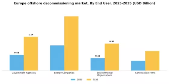 Europe Offshore Decommissioning Market Segment Image 1
