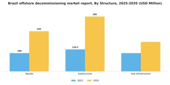 Brazil Offshore Decommissioning Market Segment Image 2